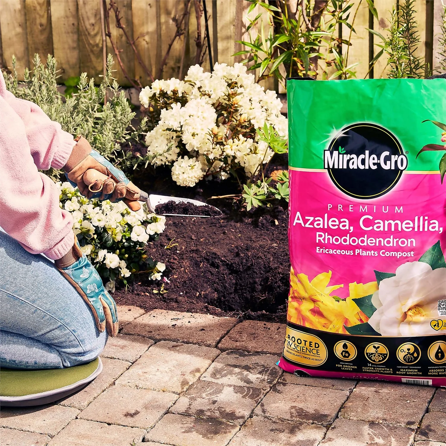Miracle Gro Premium Azalea, Camellia & Rhododendron Ericaceous Compost - 40L 4 Miracle Gro Premium Azalea, Camellia & Rhododendron Ericaceous Compost - 40L - Image 4