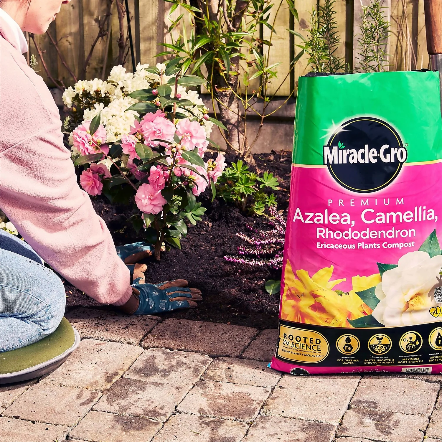 Miracle Gro Premium Azalea, Camellia & Rhododendron Ericaceous Compost - 40L 6 Miracle Gro Premium Azalea, Camellia & Rhododendron Ericaceous Compost - 40L - Image 6