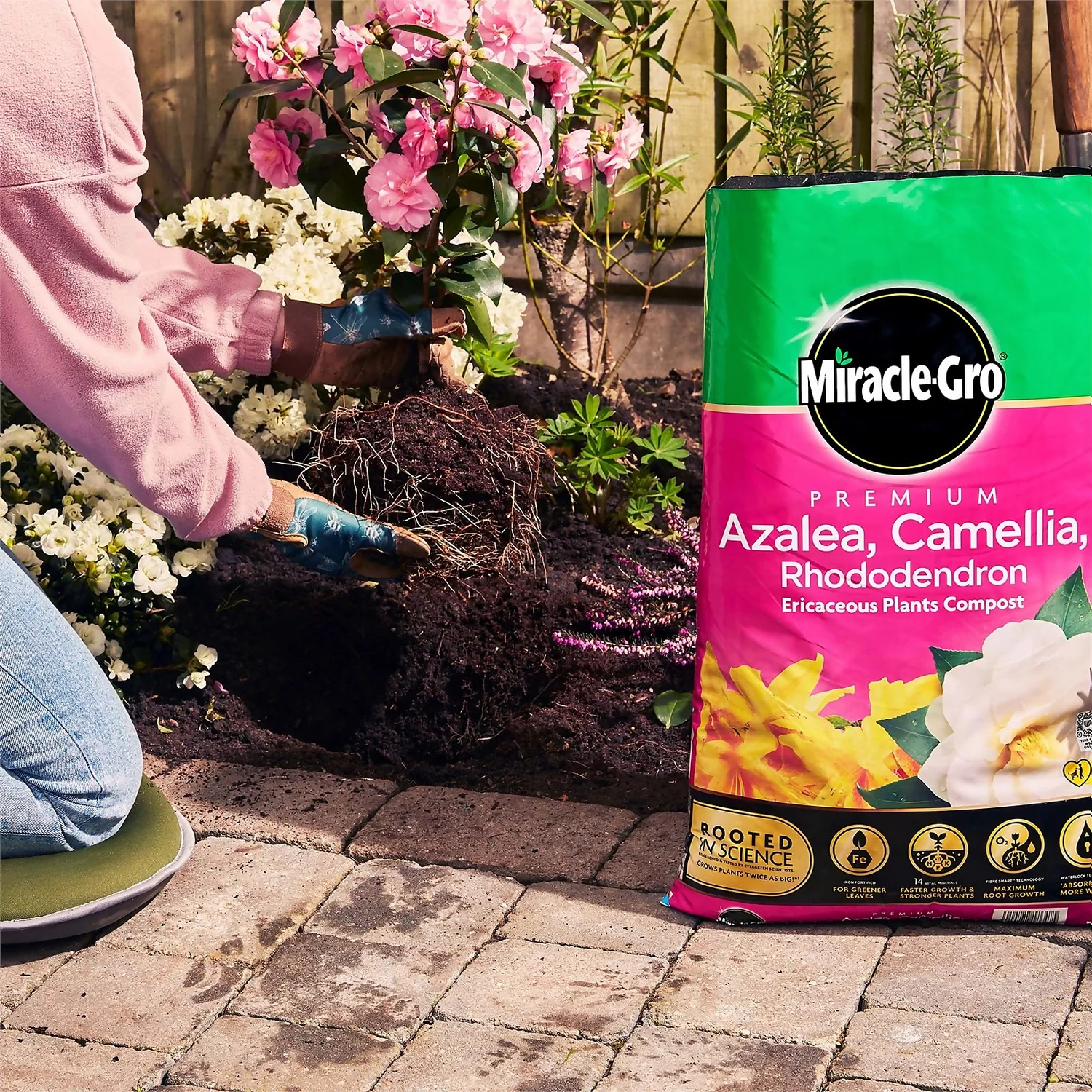 Miracle Gro Premium Azalea, Camellia & Rhododendron Ericaceous Compost - 40L 5 Miracle Gro Premium Azalea, Camellia & Rhododendron Ericaceous Compost - 40L - Image 5