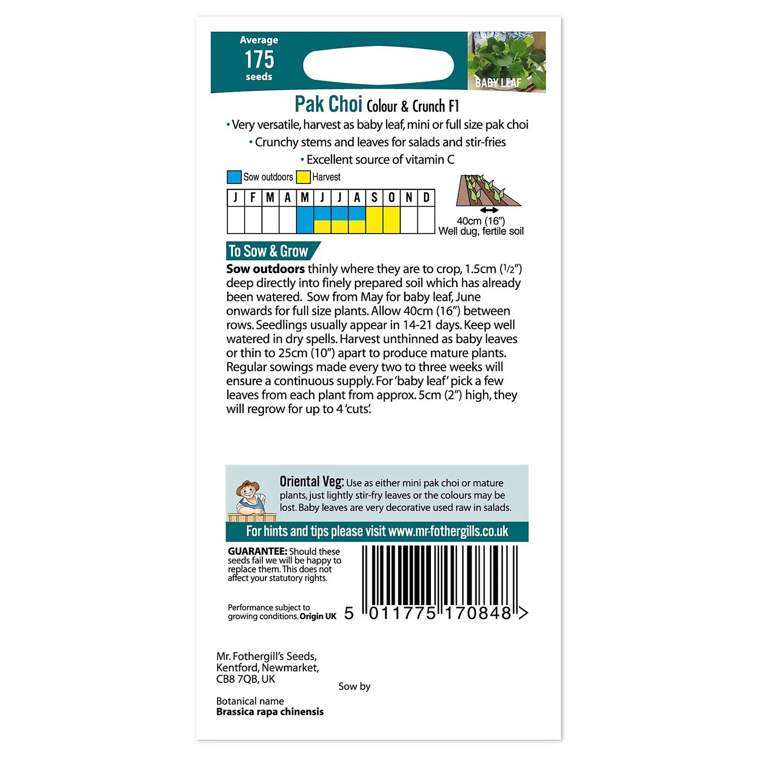 Mr. Fothergill's Pak Choi Colour & Crunch F1 Seeds 2 Mr. Fothergill's Pak Choi Colour & Crunch F1 Seeds - Image 2