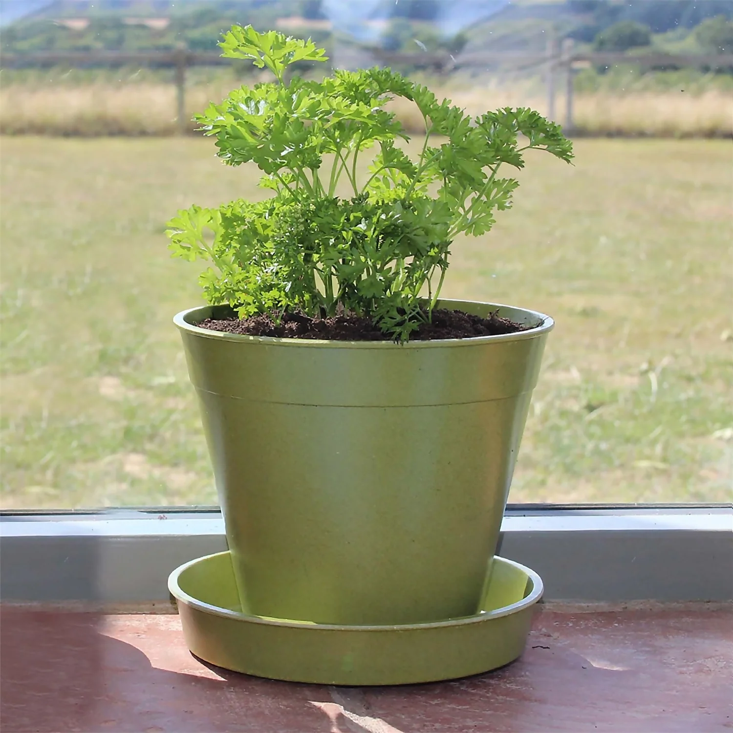 8in Bamboo Saucer Single Sage Green 2 8in Bamboo Saucer Single Sage Green - Image 2