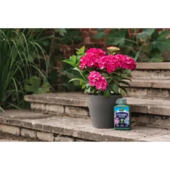 Westland Hydrangea Feed - 1l -Garantia Store 12886486 5014971590603901
