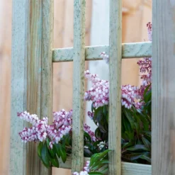 Mercia Curved Arch 7 Mercia Curved Arch -Garantia Store 12888302 6134849860614286