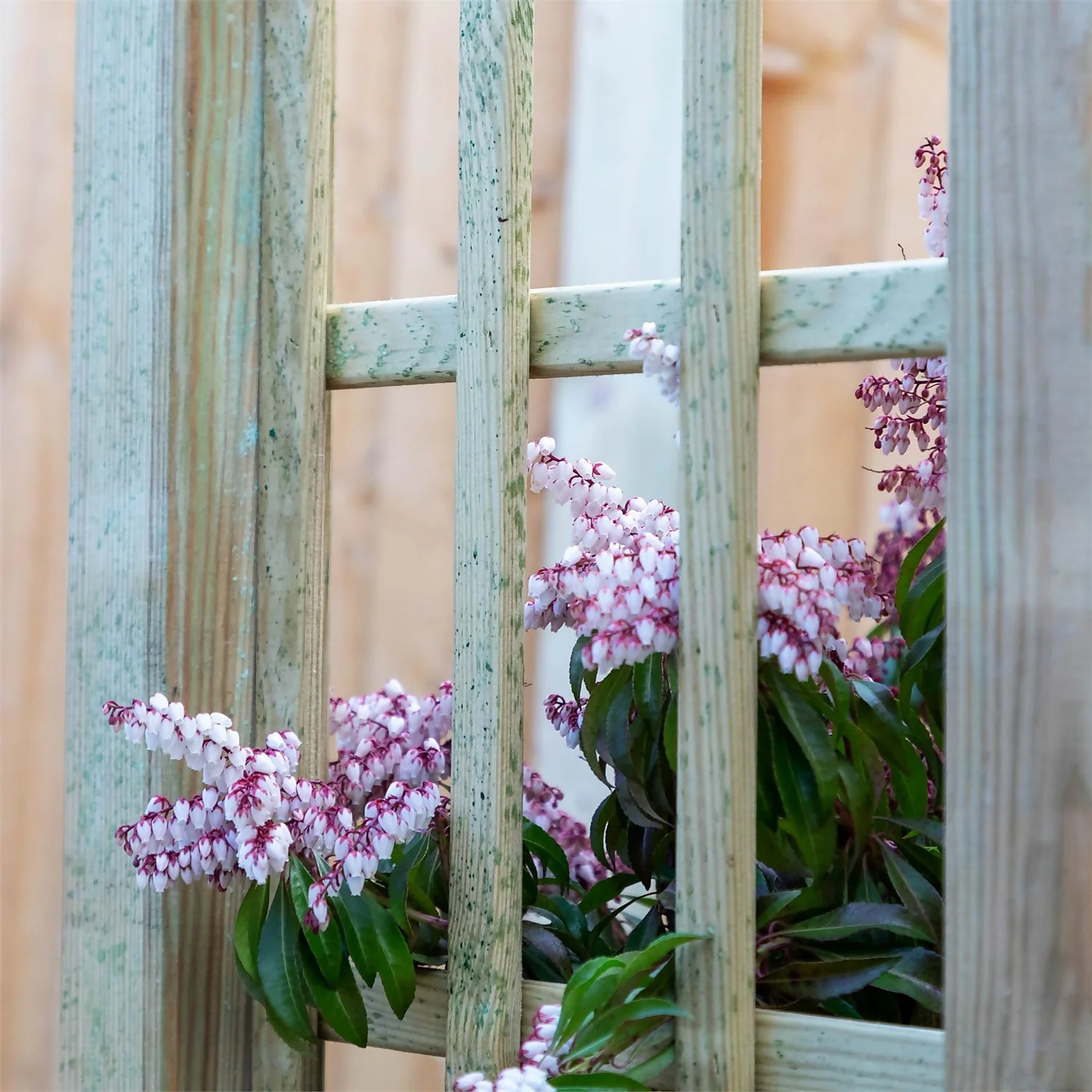 Mercia Curved Arch 3 Mercia Curved Arch - Image 3