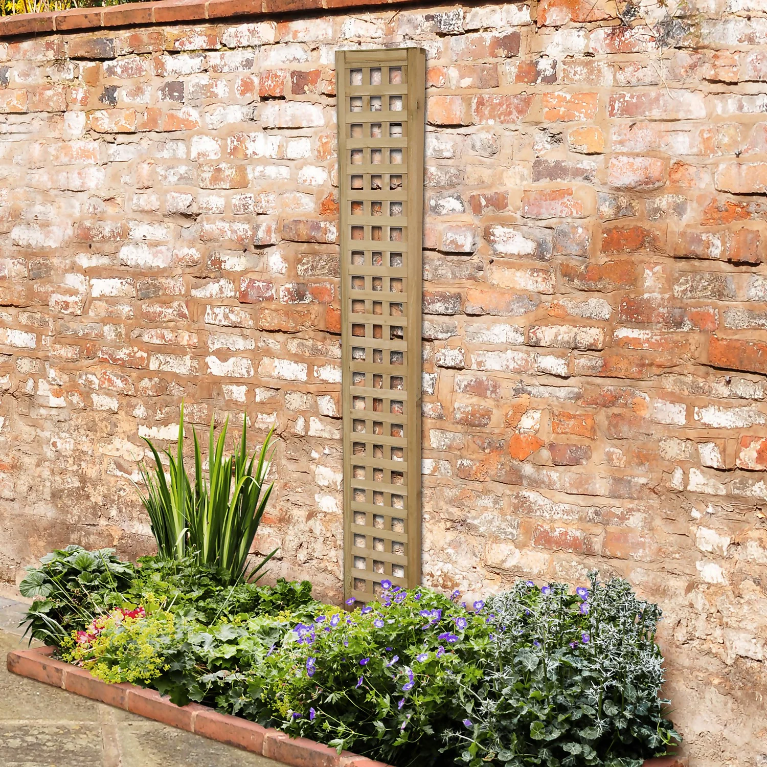 Forest Prem Framed Trellis - 180x30cm - 10pk 2 Forest Prem Framed Trellis - 180x30cm - 10pk - Image 2