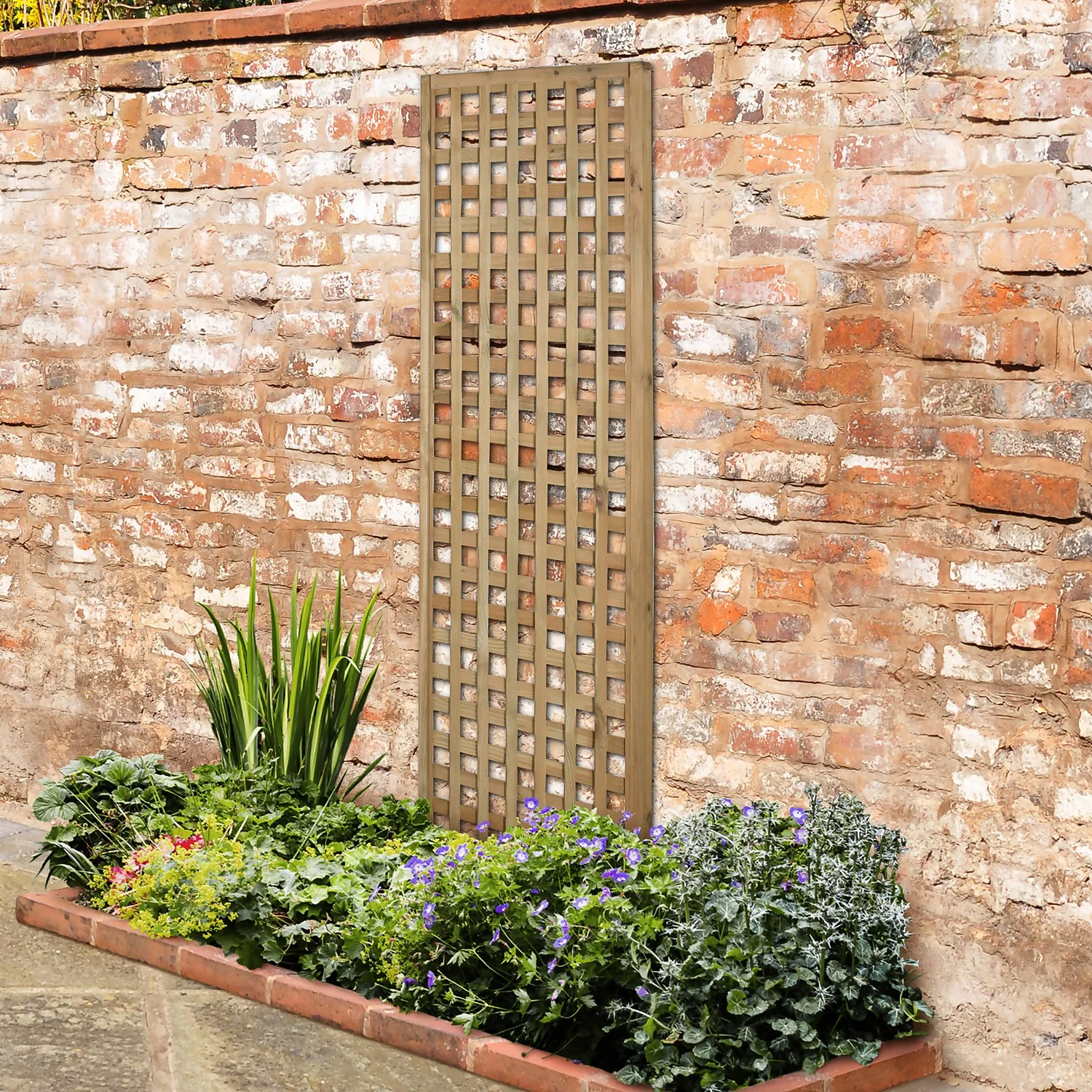 Forest Prem Framed Trellis - 180x60cm - 4pk 2 Forest Prem Framed Trellis - 180x60cm - 4pk - Image 2