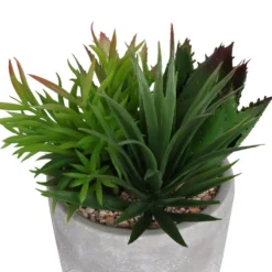 Mixed Succulent In Grey Pot -Garantia Store 12909503 1064869235639350