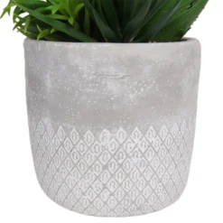 Mixed Succulent In Grey Pot -Garantia Store 12909503 2114869235721745