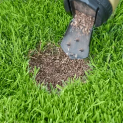 Miracle-Gro Patch Magic Dog Spot Repair Grass Seed - 130 Spots 6 Miracle-Gro Patch Magic Dog Spot Repair Grass Seed - 130 Spots -Garantia Store 13130959 1924895338154127