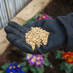 Miracle-Gro Premium All Purpose Continuous Release Plant Food 900G -Garantia Store 13308222 9885012580990969