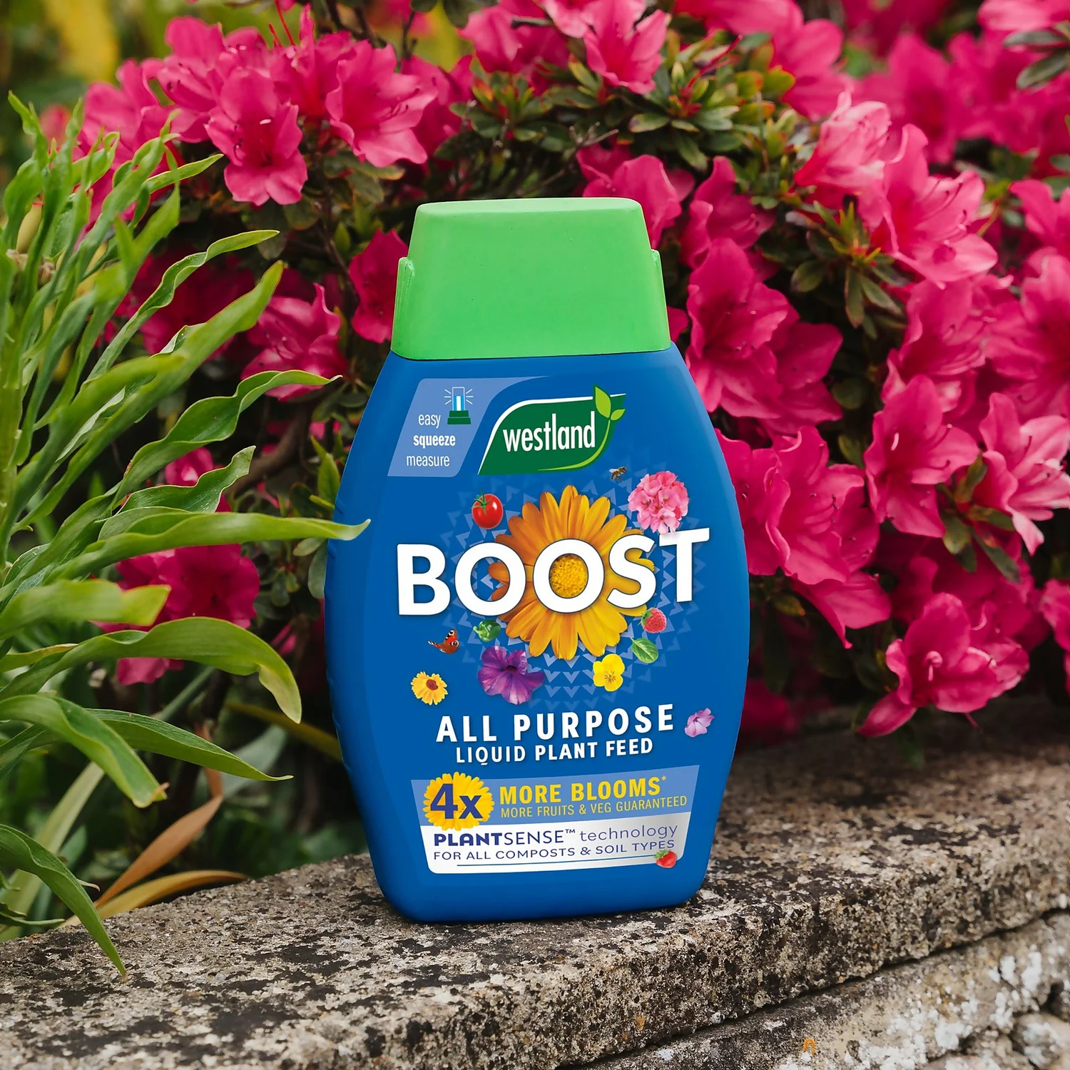 Westland Boost All Purpose Plant Food 1L 6 Westland Boost All Purpose Plant Food 1L - Image 6