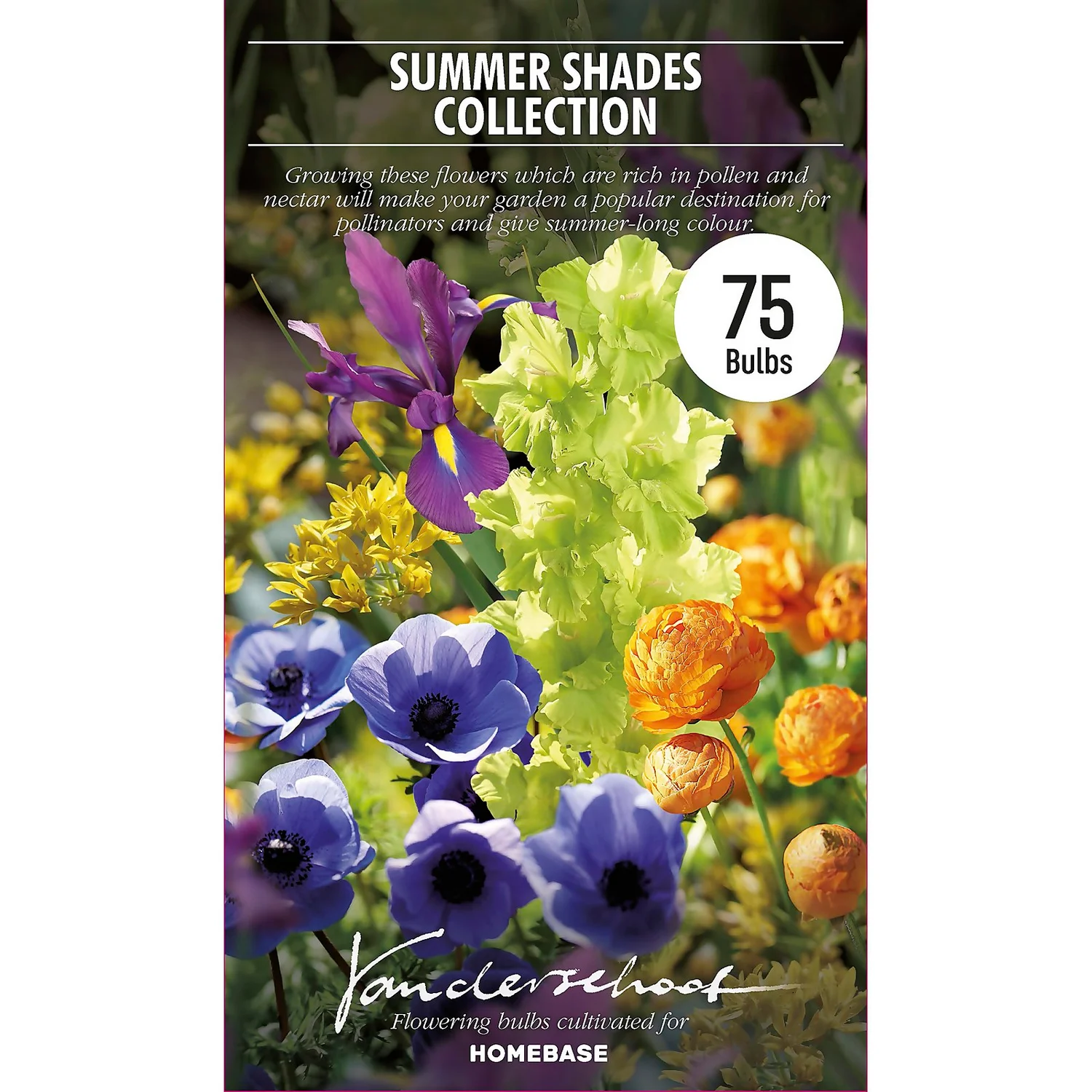 None Summer Shades Flower Bulb Collection 2 None Summer Shades Flower Bulb Collection - Image 2