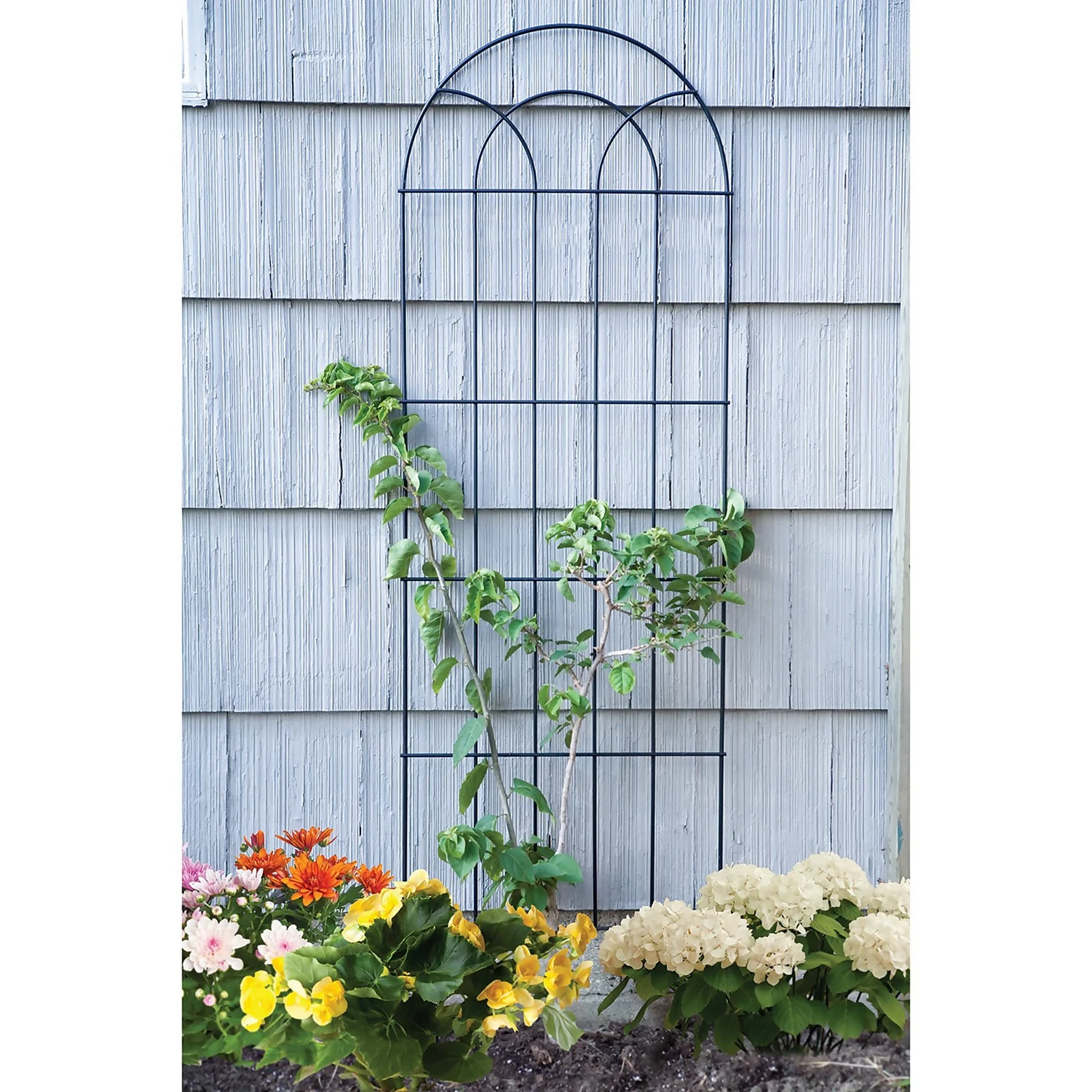 Panacea Classic Black Garden Trellis - 183 X 56cm 2 Panacea Classic Black Garden Trellis - 183 X 56cm - Image 2