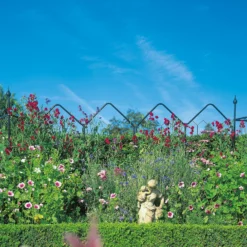 Agriframes Alpine Garden Screen - W 1.2m X H 1.7m - Black -Garantia Store 13526232 1374974424239918