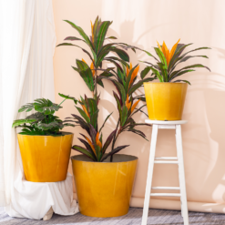 Glazed Finish Planter Mustard 40cm -Garantia Store 13928632 1075001956273763