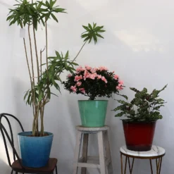 Glazed Finish Planter Mustard 40cm -Garantia Store 13928632 3495001956393211