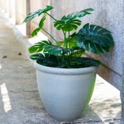 Ashford Planter Grey 35cm -Garantia Store 13928636 1105001955420998