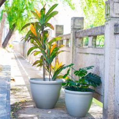 Ashford Planter Grey 35cm -Garantia Store 13928636 1795001955680876