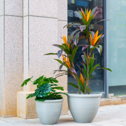 Ashford Planter Grey 35cm -Garantia Store 13928636 4345001955583745