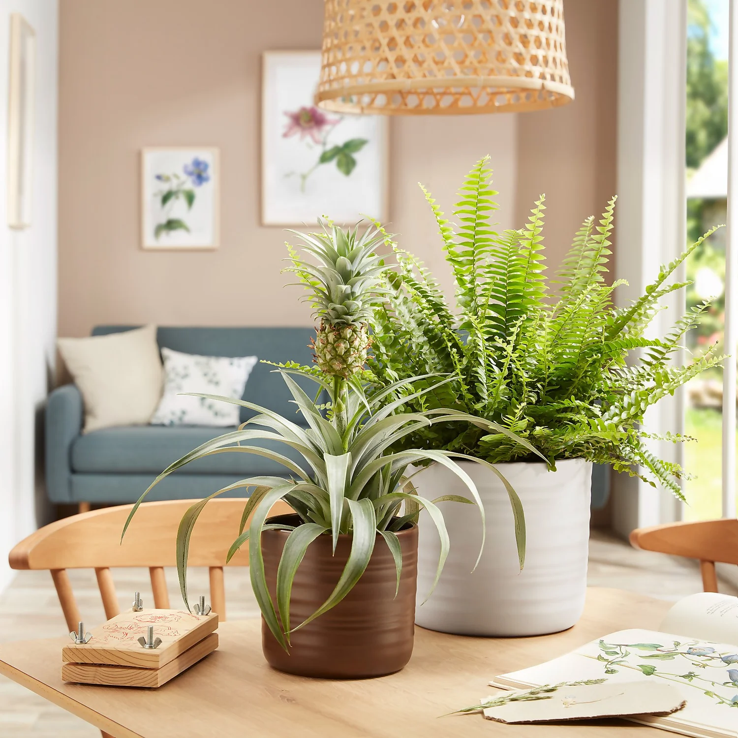 Scheurich Ripple Brown Indoor Pot - 12cm 2 Scheurich Ripple Brown Indoor Pot - 12cm - Image 2