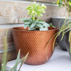 Suva Hammered Pot Copper - 31cm 9 Suva Hammered Pot Copper - 31cm -Garantia Store 13973652 1715011805989134