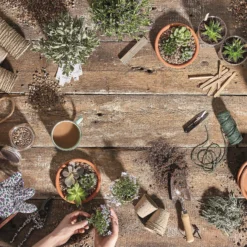 Stylish Stone Horticultural Potting Grit Midi Bag -Garantia Store 13996142 1945013107357973