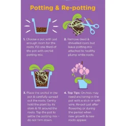 Westland Orchid Potting Mix Peat Free 8L 5 Westland Orchid Potting Mix Peat Free 8L -Garantia Store 14013784 4815003754410304