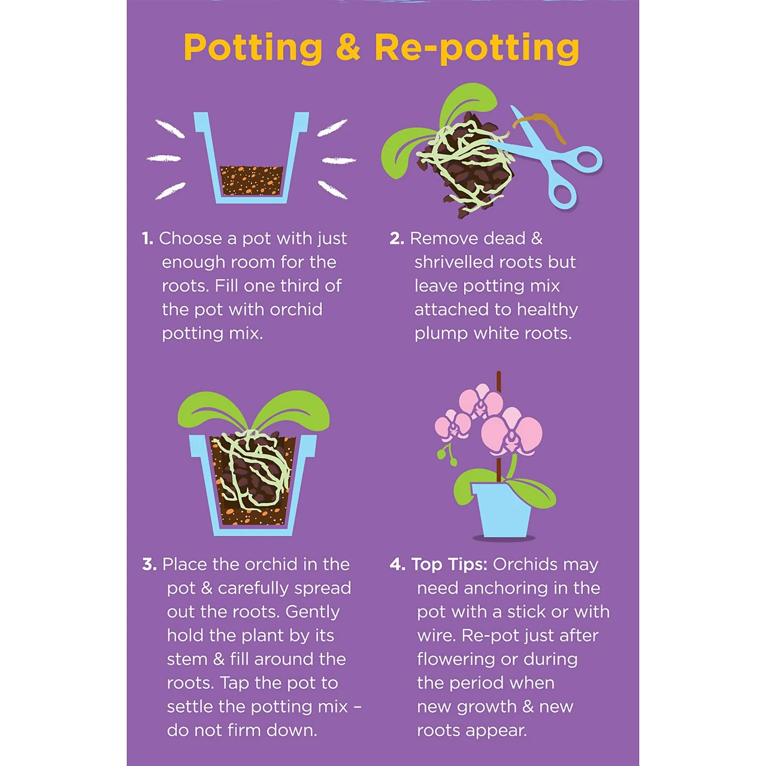 Westland Orchid Potting Mix Peat Free 8L 3 Westland Orchid Potting Mix Peat Free 8L - Image 3