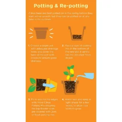 Westland Citrus Potting Mix Peat Free 8L -Garantia Store 14013785 1645003754507372