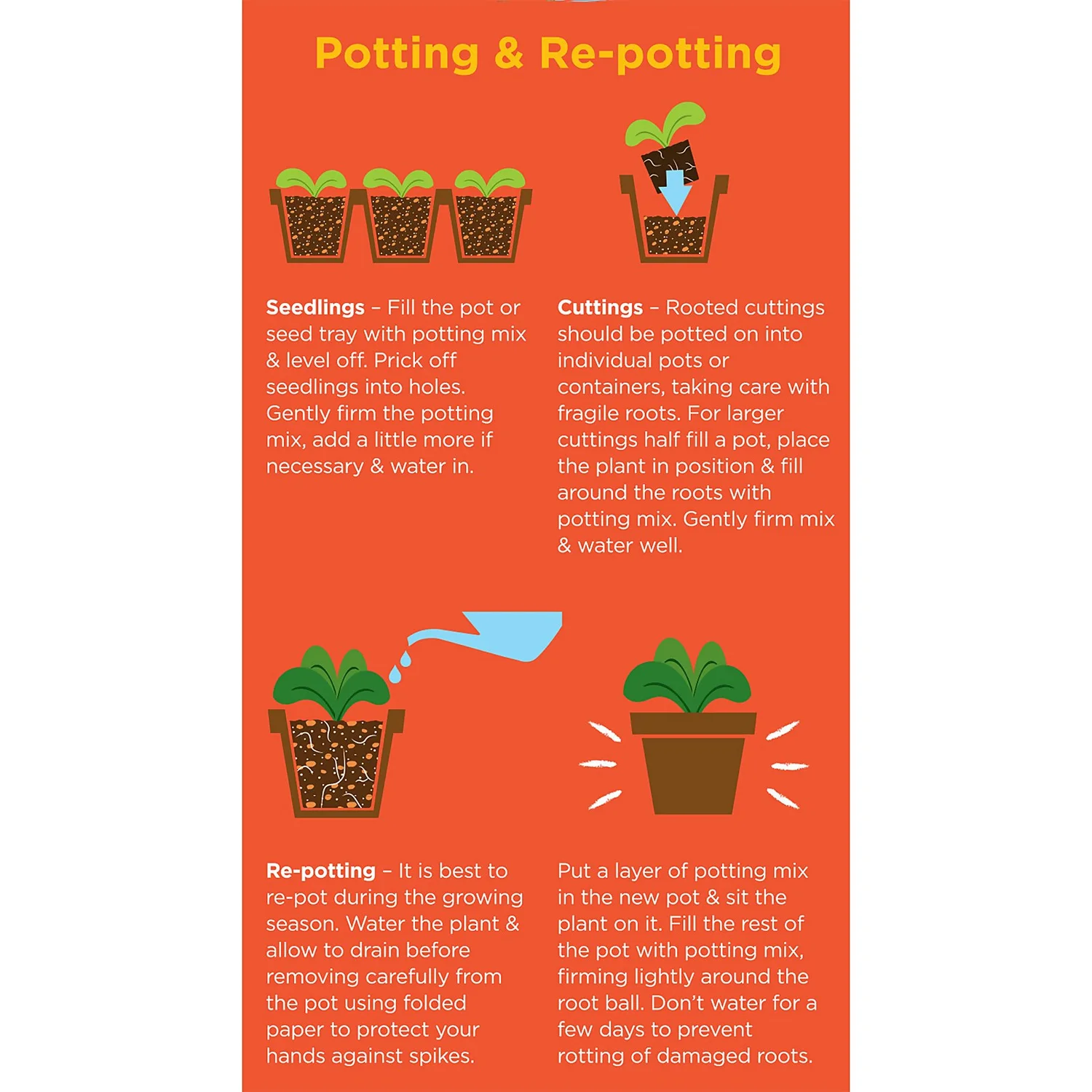 Westland Cacti & Succulent Potting Mix Peat Free 4L 3 Westland Cacti & Succulent Potting Mix Peat Free 4L - Image 3