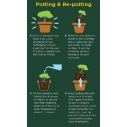 Westland Bonsai Potting Mix Peat Free 4L -Garantia Store 14013787 2185003754340767