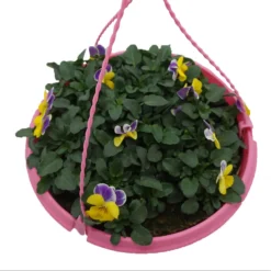 Spring Pansy/Viola Coloured Hang Pot 25cm -Garantia Store 14300056 1735032495654524