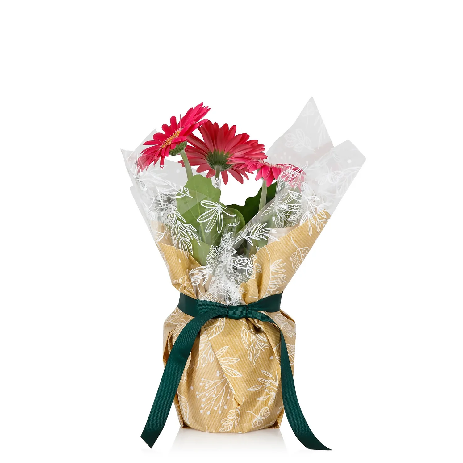 Gift Wrapped Gerbera - 12cm 1 Gift Wrapped Gerbera - 12cm