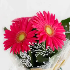 Gift Wrapped Gerbera - 12cm 8 Gift Wrapped Gerbera - 12cm -Garantia Store 14567807 8365056339892382