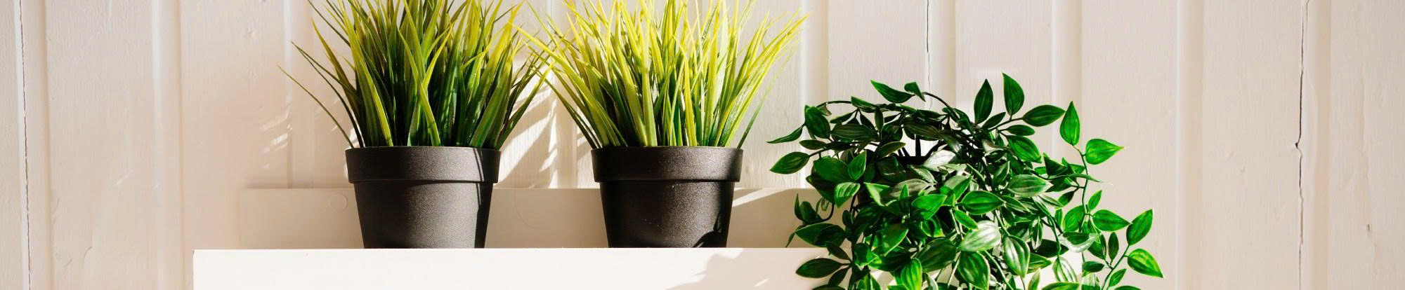 Garantia Store -Garantia Store z6728195167994 76f1383865d1d0b9819402e9e849b405